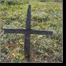 (84/171): 2012; foto Henryk Kulik