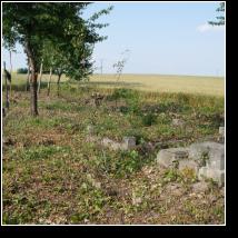 (87/171): 2012; foto Henryk Kulik
