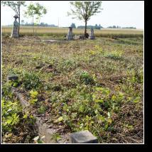 (89/171): 2012; foto Henryk Kulik