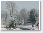 (54/805): Foto Mateusz Skrzewski