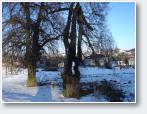 (130/805): Foto Adam Skra