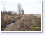 (186/805): Foto Zbigniew Pedowski