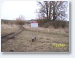 (212/805): Foto Zbigniew Pedowski
