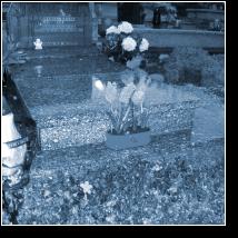(29/86): 29.03.2012